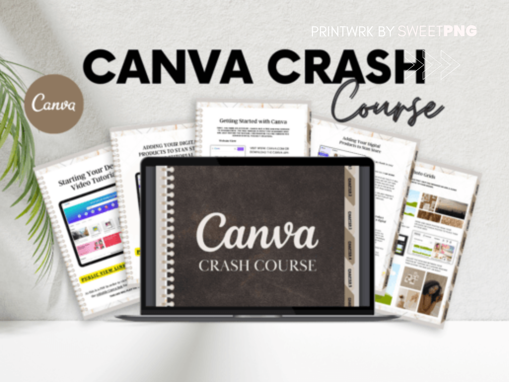 Canva For Beginners Crash Course